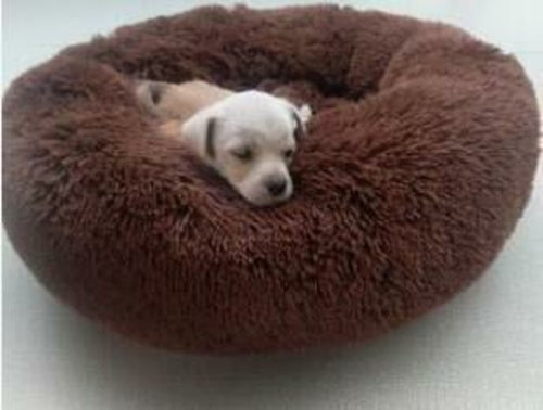 Pet Dog Bed Comfortable Donut Cuddler Round Dog Kennel Ultra Soft 