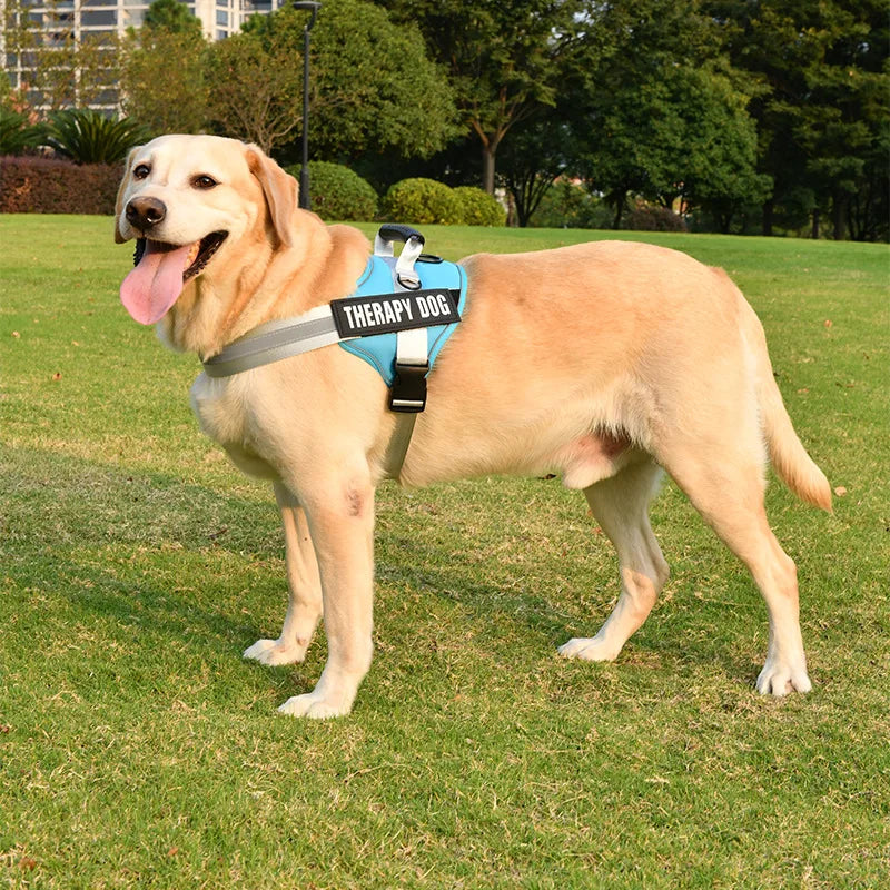 S305ecccac6024140abb84dcb4a1c647ei