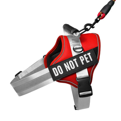 Sc4deca25a1384f3d9aee6e2f748936c35